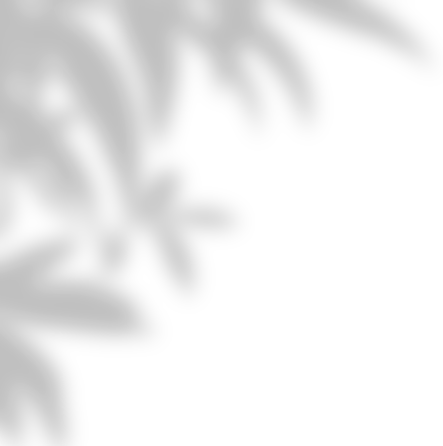 Leaves Shadow Illustration