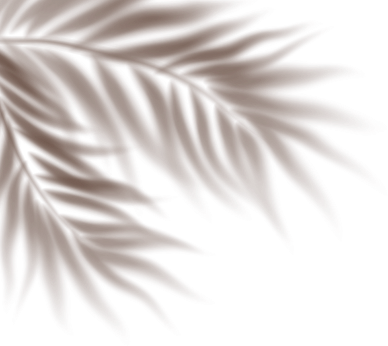 Palm Shadow